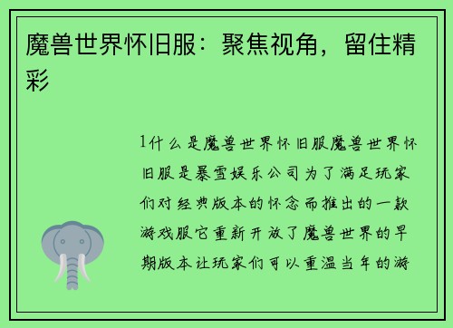 魔兽世界怀旧服：聚焦视角，留住精彩